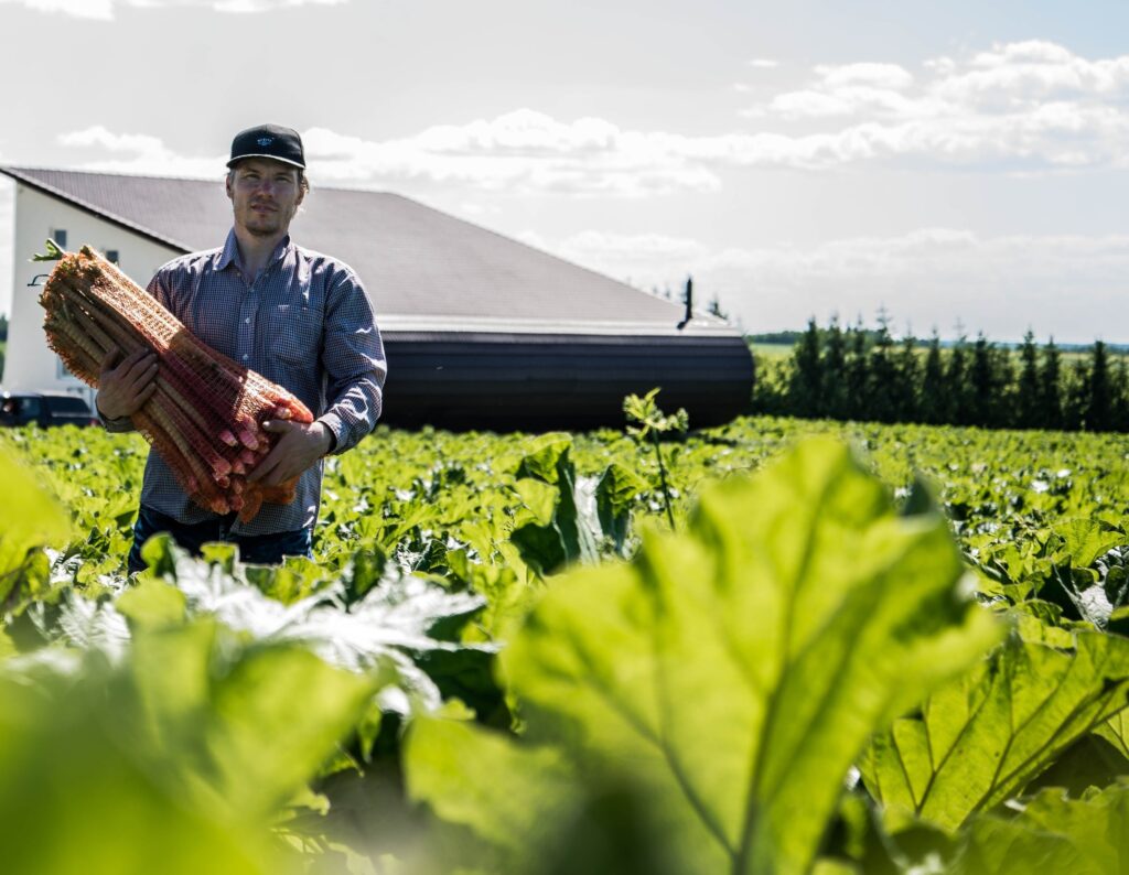 Rabafarmi tegevjuht Leo Kivitar